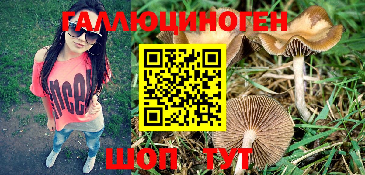 Галлюциногенные грибы Magic Shrooms  Галлюциногенные грибы GOLDEN TEACHER  Балахна  Вход с VPN 