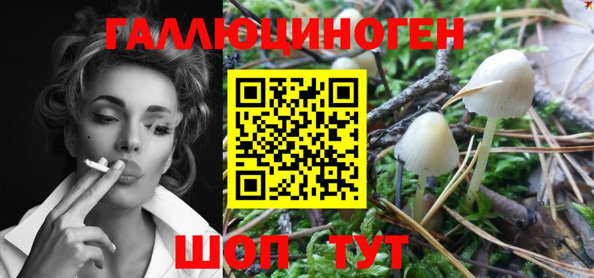 Галлюциногенные грибы мухоморы Балахна